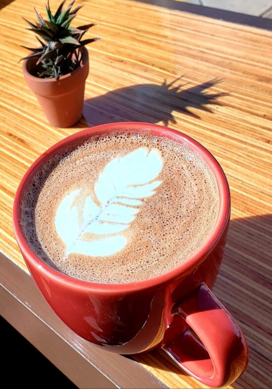 Beside a tiny pointy succulent in a clay pot, a red café mug is filled with a mocha latte.