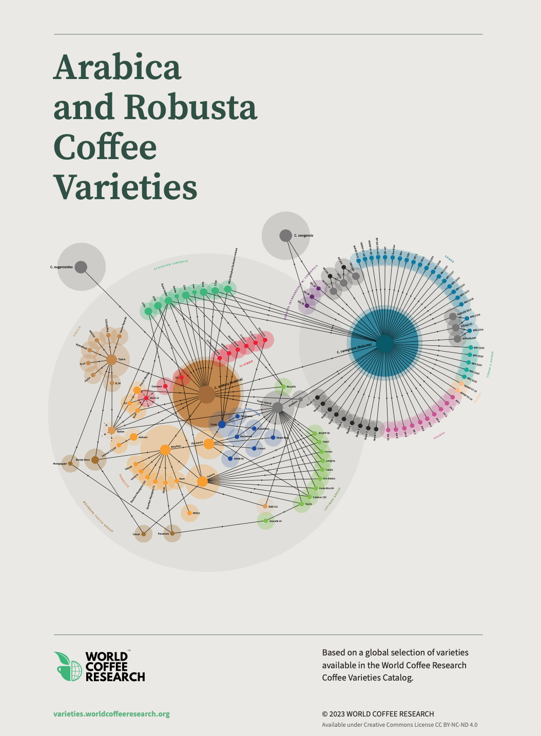 coffee varieties poster