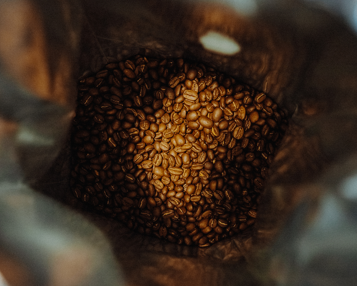 Avole Ethiopian Coffee