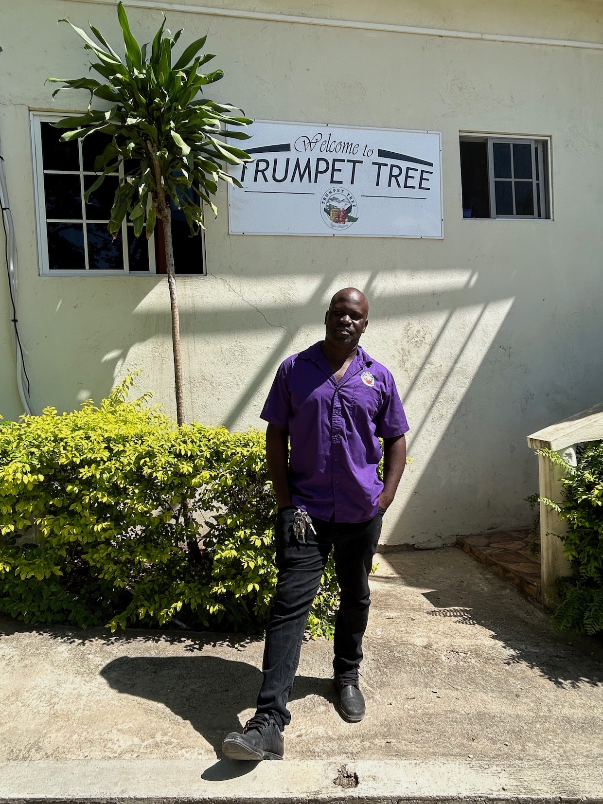 Trumpet Tree Coffee