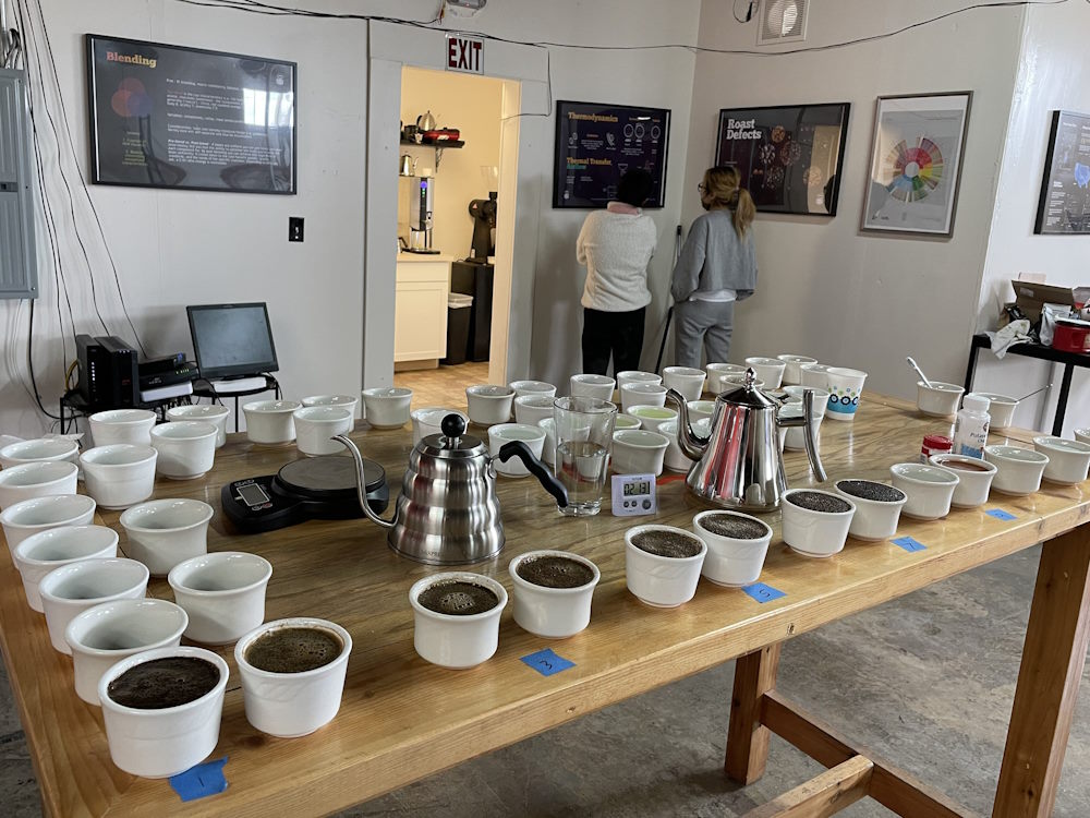 Coffee professionals at a cupping session.