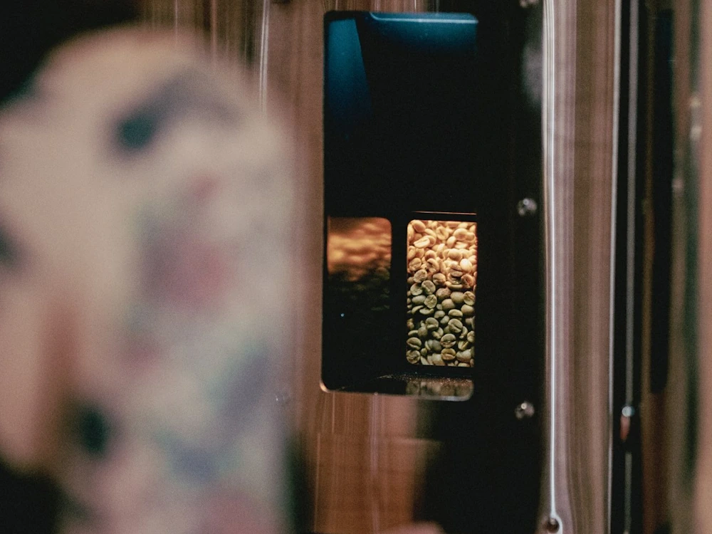 A window in a Stronghold S2 machine.